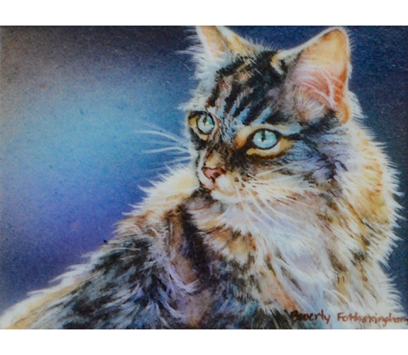 "Cat Pause III" - Beverly Fotheringham